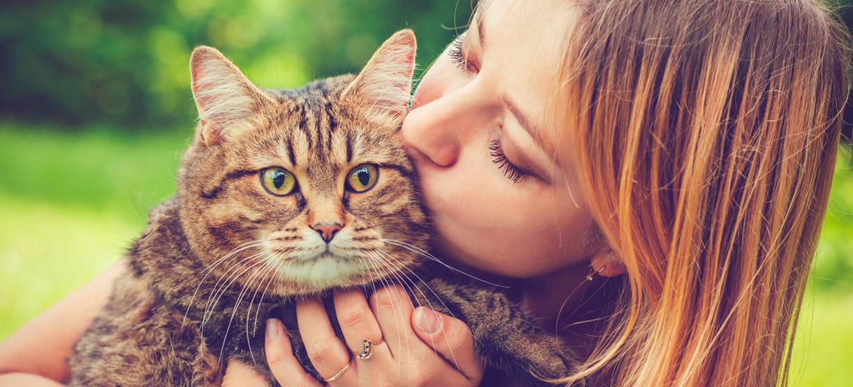 Veterinarian and Animal Hospital in Houston, TX | The Cat Doctor